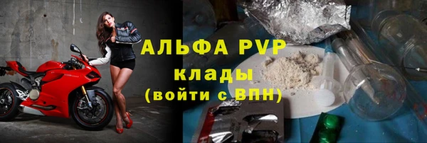 тгк Новозыбков