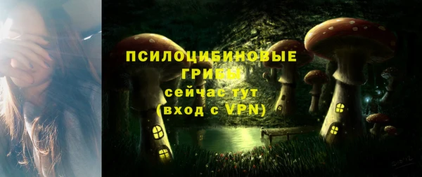 бошки Абинск