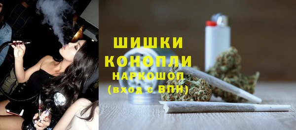 ПСИЛОЦИБИНОВЫЕ ГРИБЫ Абаза