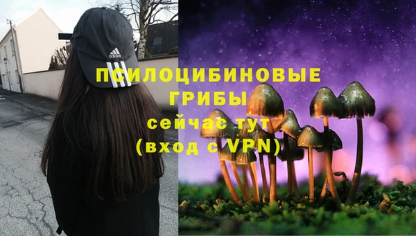 винт Алексин