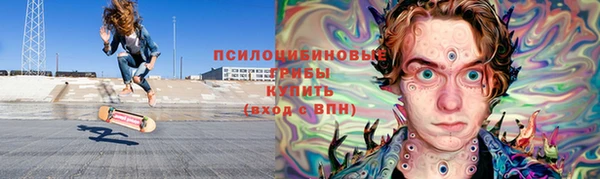 ПСИЛОЦИБИНОВЫЕ ГРИБЫ Абаза