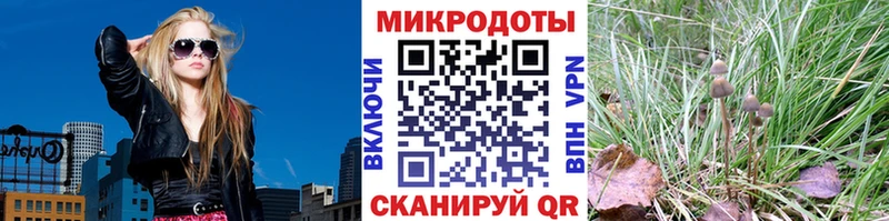 купить  цена  Прохладный  это официальный сайт  Псилоцибиновые грибы Magic Shrooms 