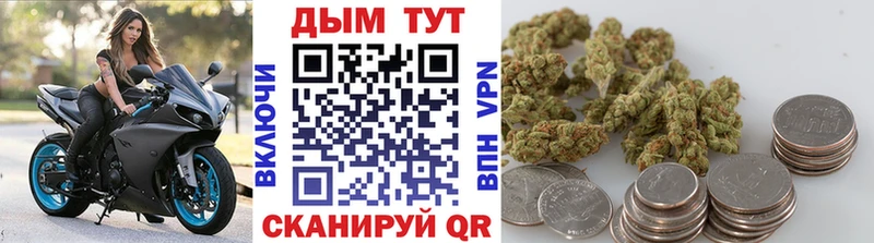 Каннабис планчик  магазин продажи   Прохладный 